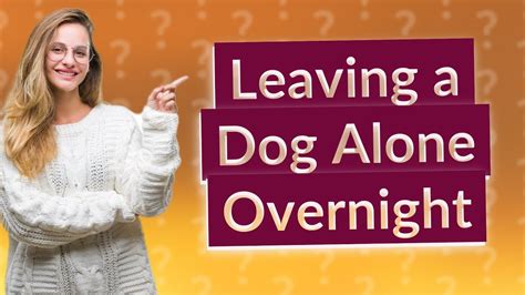 Is it cruel to leave a dog alone overnight?