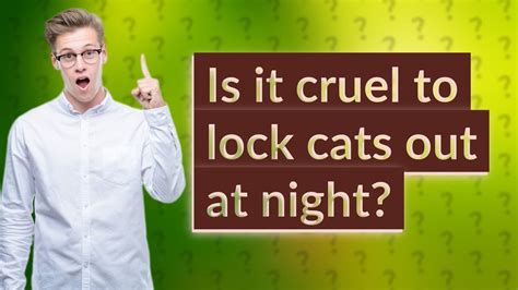 Is it cruel to lock cats out at night?