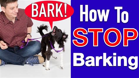 Is it cruel to stop a dog from barking?