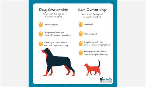 Is it easy to own a pet?
