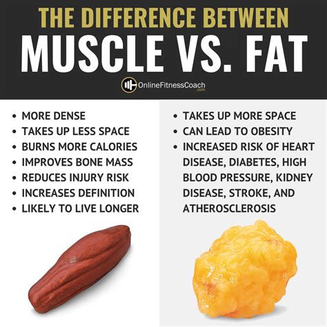 Is it fat or muscle?