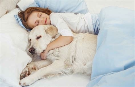Is it good to cuddle with your dog?