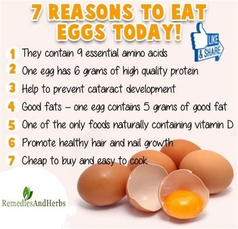 Is it good to eat 5 eggs after workout?