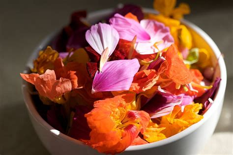 Is it good to eat flower petals?