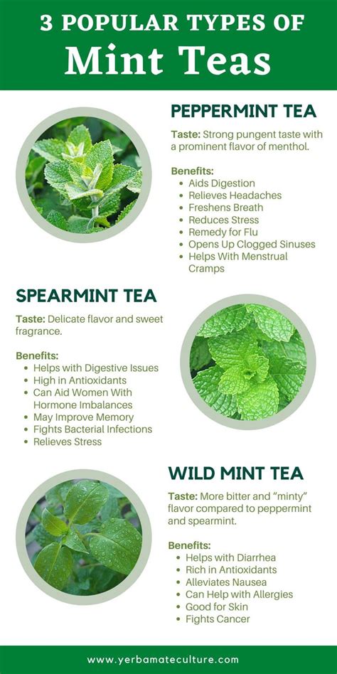 Is it good to smell peppermint?