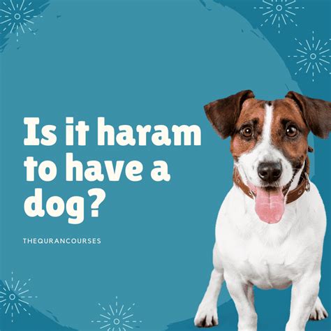 Is it haram to have a pet?