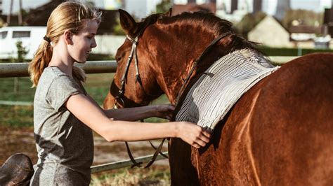 Is it hard to train a horse?