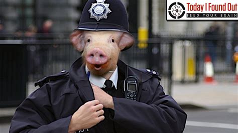 Is it illegal to call a cop a pig in Canada?
