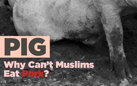 Is it illegal to eat pork in Egypt?