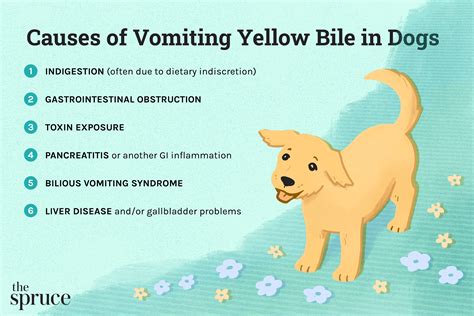 Is it normal for dogs to occasionally vomit bile?