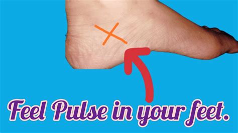 Is it normal to feel a pulse in your foot?