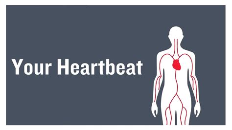 Is it normal to feel your heartbeat in your legs?