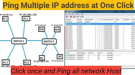 Is it normal to have multiple IP addresses?