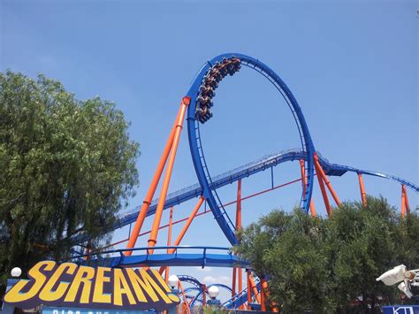 Is it normal to scream on roller coasters?