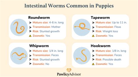 Is it normal to still see worms after deworming?