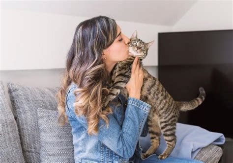 Is it okay to kiss your cat on the head?