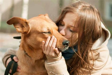 Is it okay to kiss your dog?