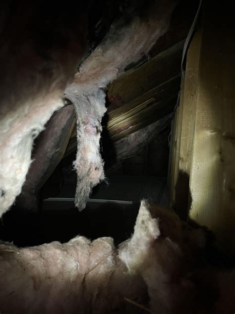 Is it okay to leave insulation exposed?