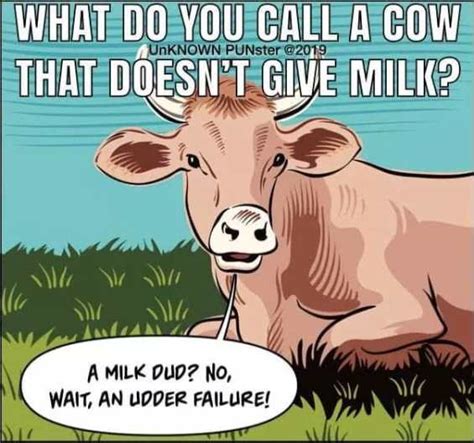 Is it painful to not milk a cow?