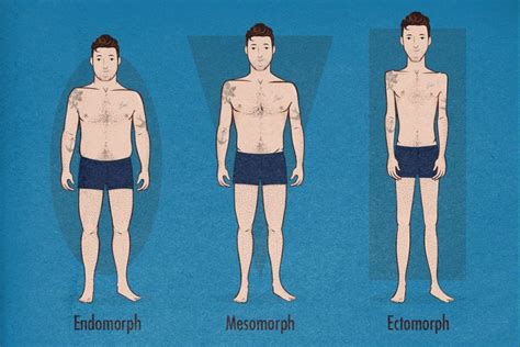 Is it possible for an endomorph to become a Ectomorph?