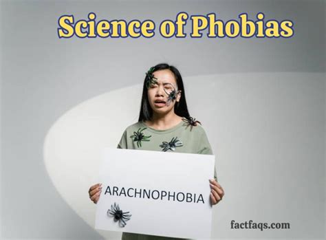 Is it possible to overcome phobias?