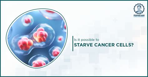 Is it possible to starve cancer?