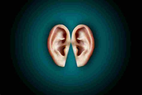 Is it possible to touch your eardrum with your finger?