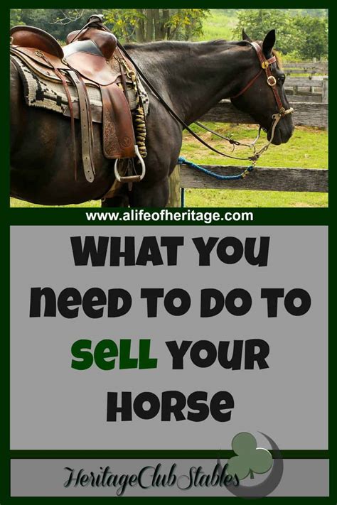 Is it profitable to sell horses?