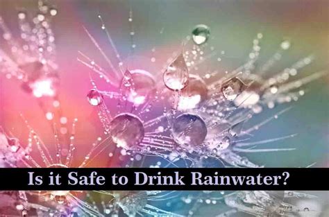Is it safe to drink Rain water?