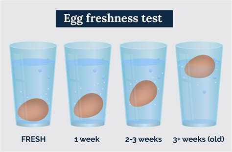 Is it safe to eat freshly laid eggs?