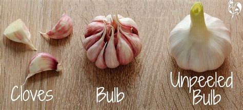 Is it safe to eat unpeeled garlic?