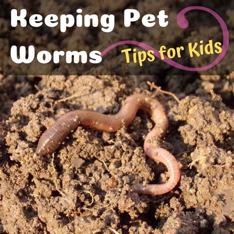Is it safe to hold earthworms?