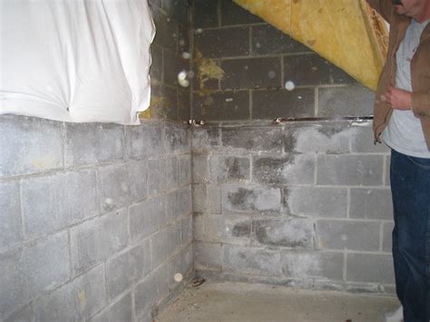 Is it safe to live in a damp basement?