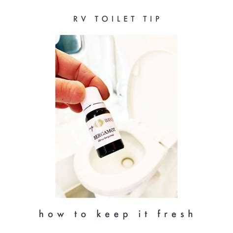 Is it safe to put essential oils in toilet tank?