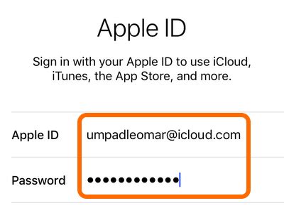 Is it safe to share Apple ID password?