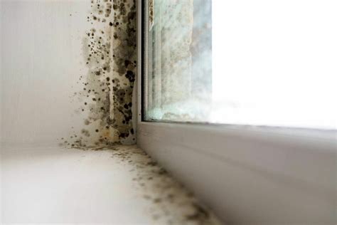 Is it safe to sleep in room with mold?