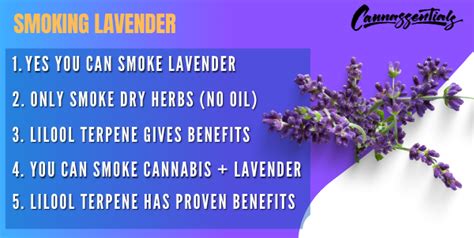 Is it safe to smoke lavender?