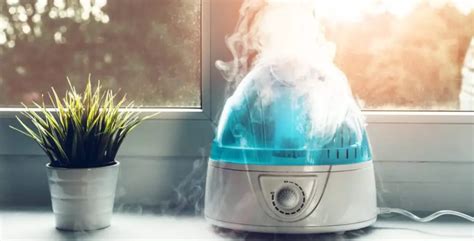 Is it safe to use a moldy humidifier?