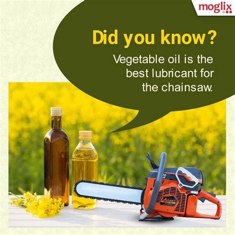 Is it safe to use cooking oil as lubricant?