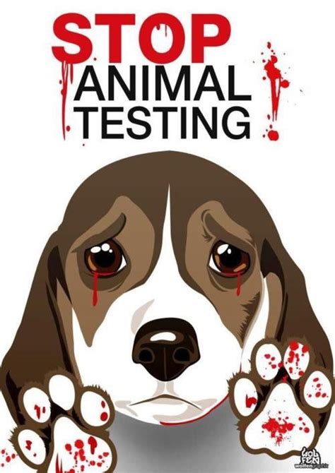 Is it time to stop animal testing?