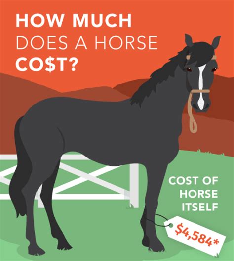 Is it worth it to buy a horse?