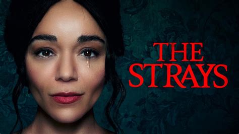 Is it worth watching the strays?