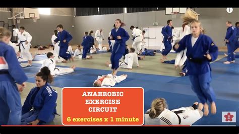 Is judo anaerobic or aerobic?