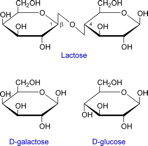 Is lactose A monomer?