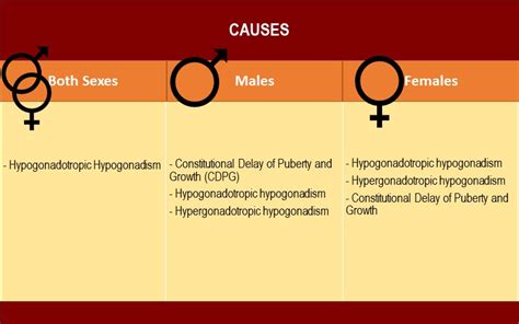 Is late puberty genetic?