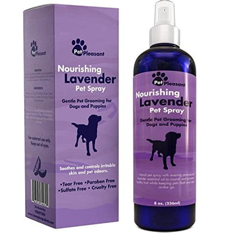 Is lavender scent OK for pets?