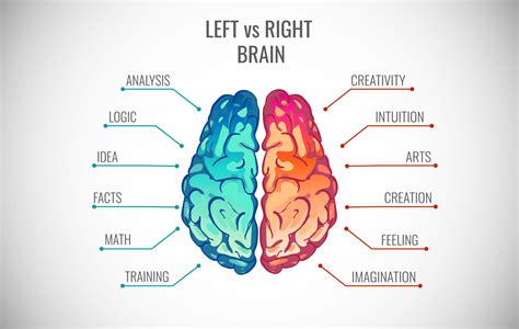 Is left brain an emotion?