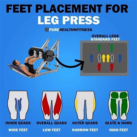 Is leg press more quads or hamstrings?