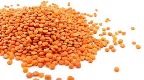 Is lentils a complete protein?