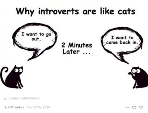 Is life harder for introverts?